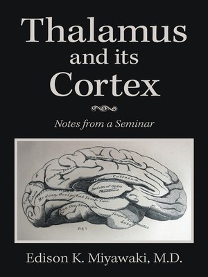cover image of Thalamus 	And Its Cortex